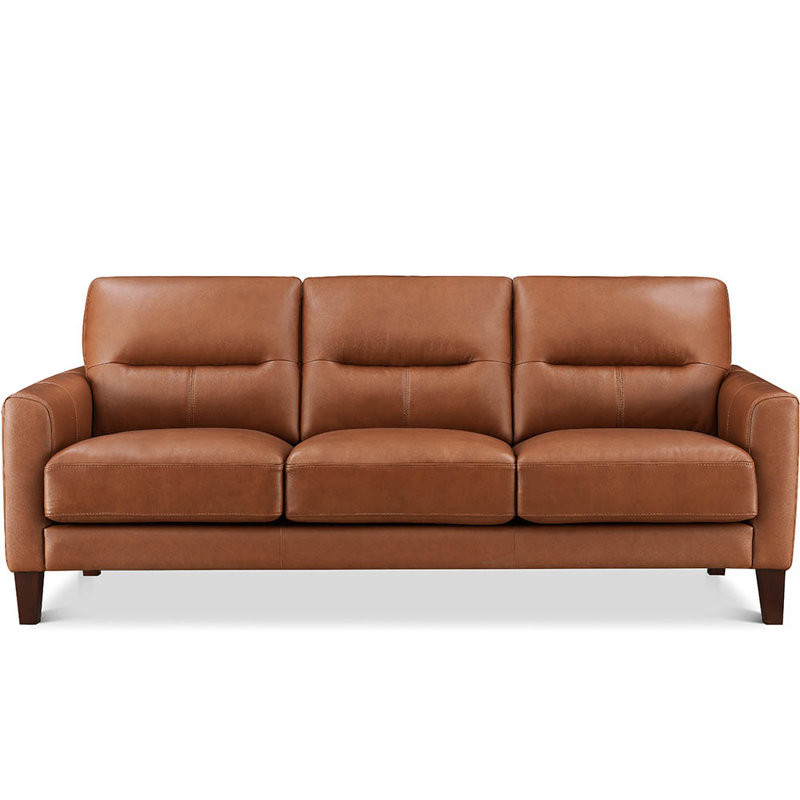 Schneider Top Grain Leather Sofa Couch