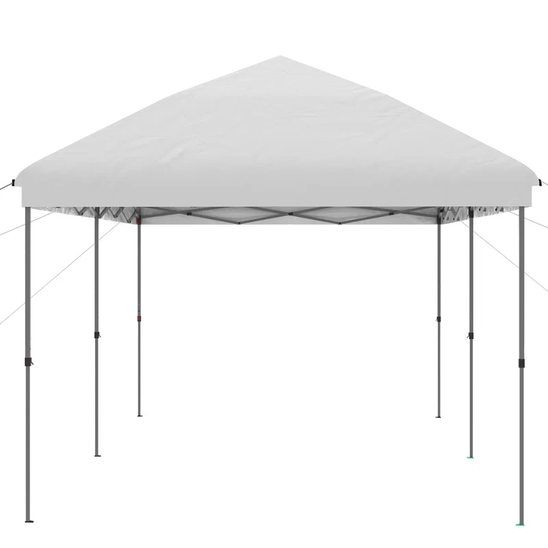 20(ft)W x 20(ft)D Metal Party Tent Canopy, Heavy Duty Outdoor Wedding Gazebo with 4 Sand Bags