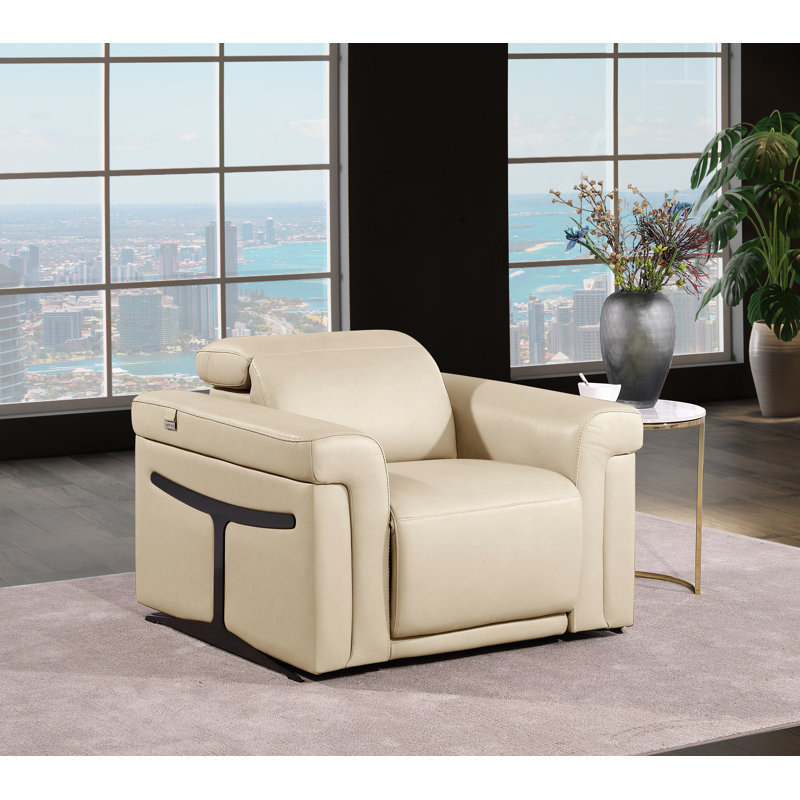 Doniece Top Grain Leather Power Recliner