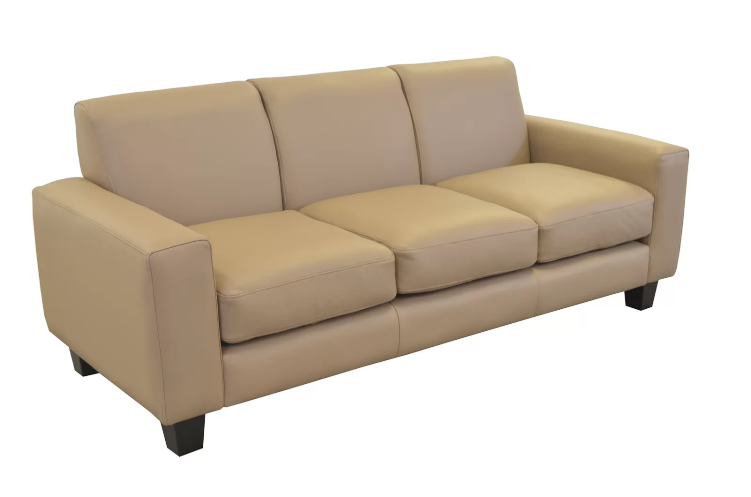 Rambir 82'' Leather Sofa