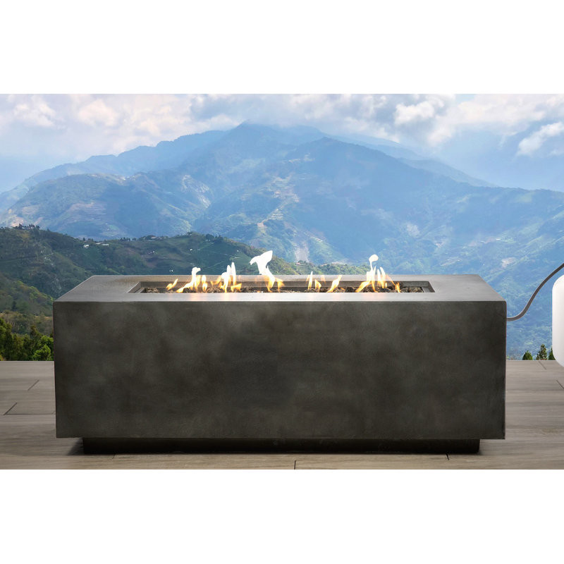 Welburn 16.08'' H x 20.08'' W Stainless Steel Outdoor Fire Pit Table