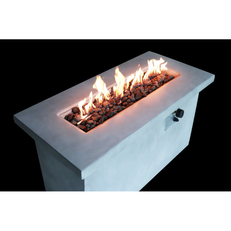 Issac 24.08" H x 20.08" W Stainless Steel Outdoor Fire Pit Table