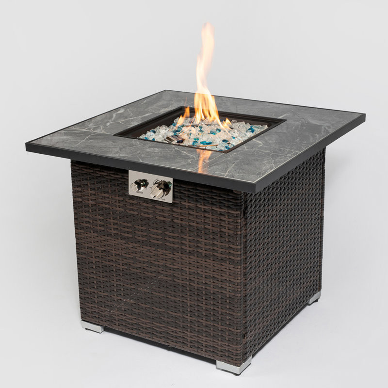 Jocelynne 24.8'' H x 30'' W Steel Propane Outdoor Fire Pit Table with Lid