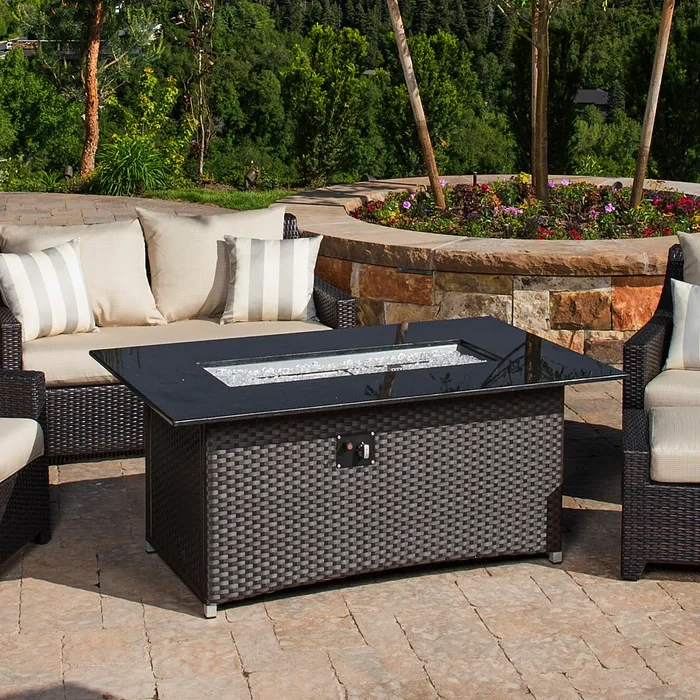 Fionnula Steel Propane Fire Pit Table