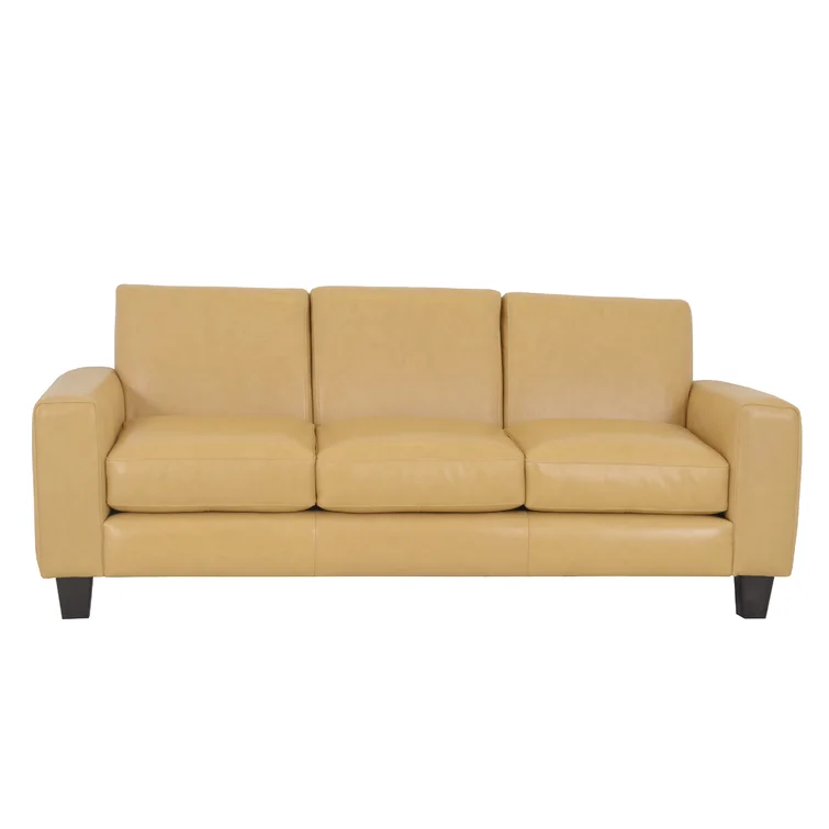 Rambir 82'' Leather Sofa