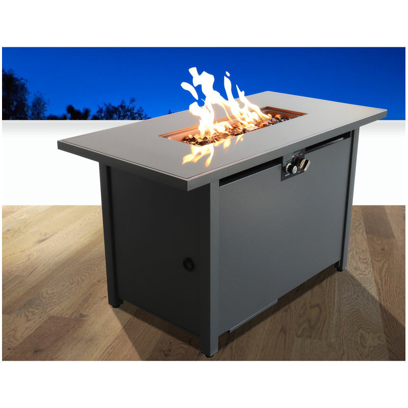 Cassy 25.08'' H Stainless Steel Outdoor Metal Fire Pit