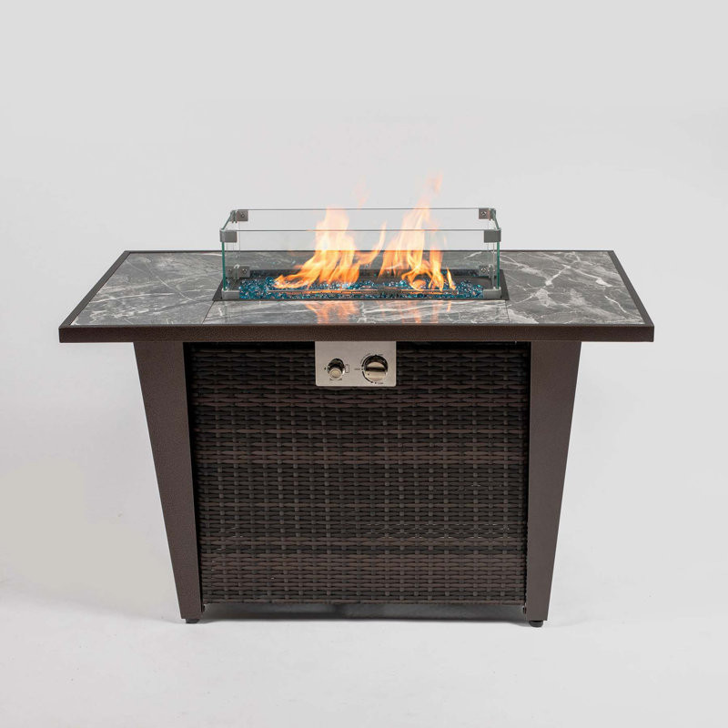 Cindye 24.8" H x 42" W Propane/Natural Gas Outdoor Fire Pit Table with Lid