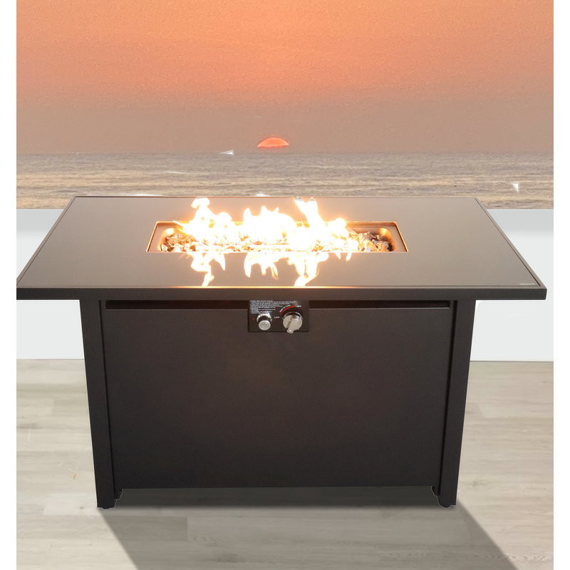 Cassy 25.08'' H Stainless Steel Outdoor Metal Fire Pit