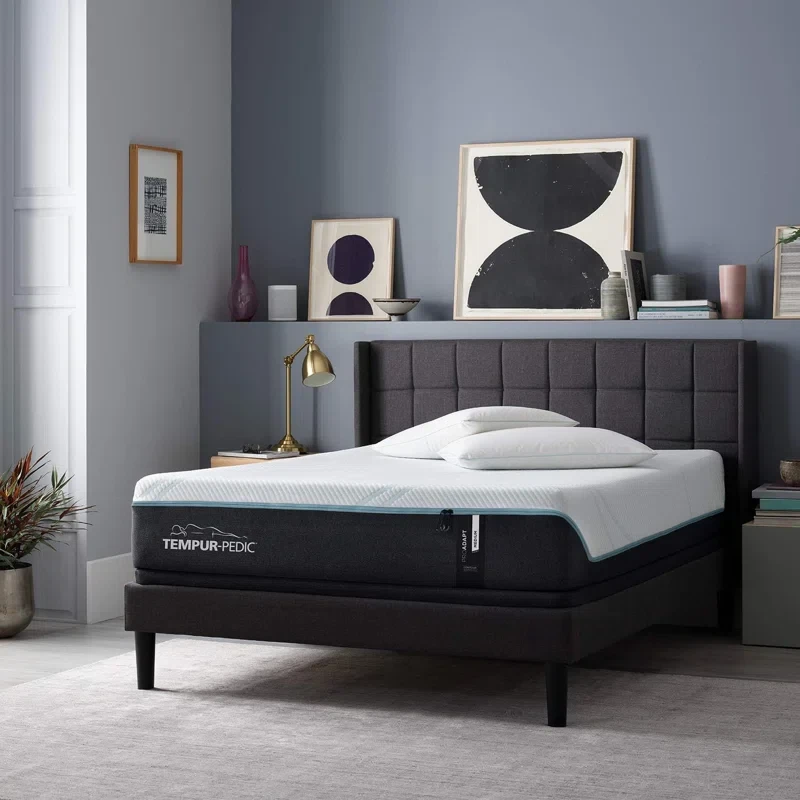 Tempur-Pedic TEMPUR-Proadapt 12-Inch Medium Foam Mattress, California King,