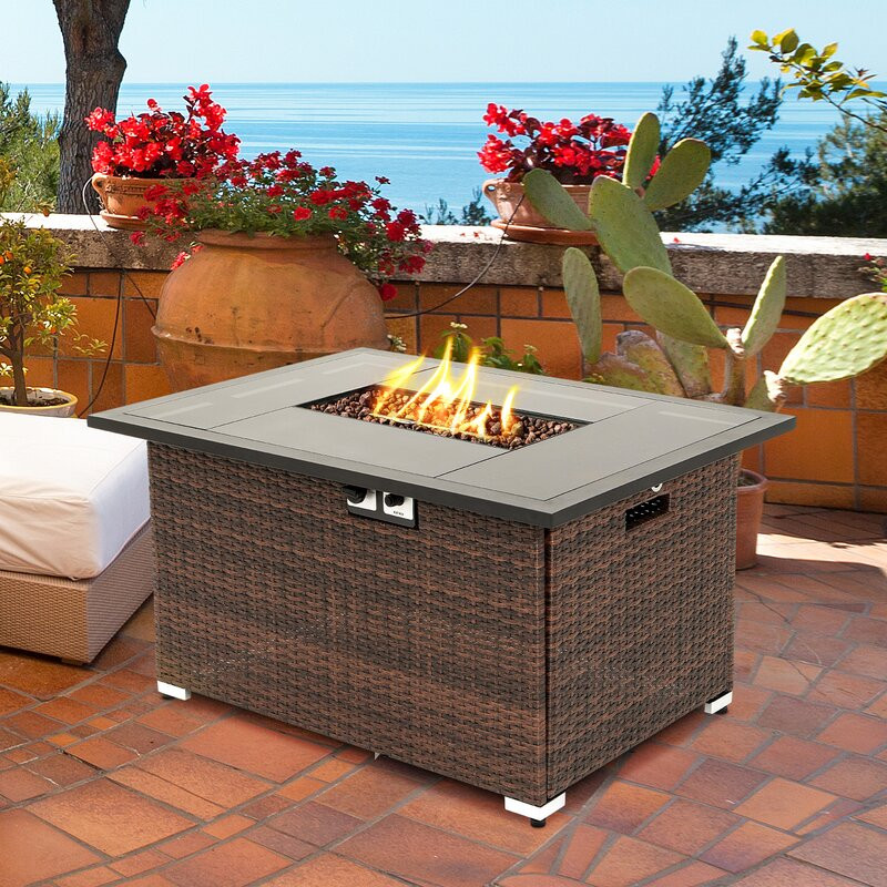 Amarianna 23.2'' H x 43.9'' W Stainless Steel Propane Outdoor Fire Pit Table