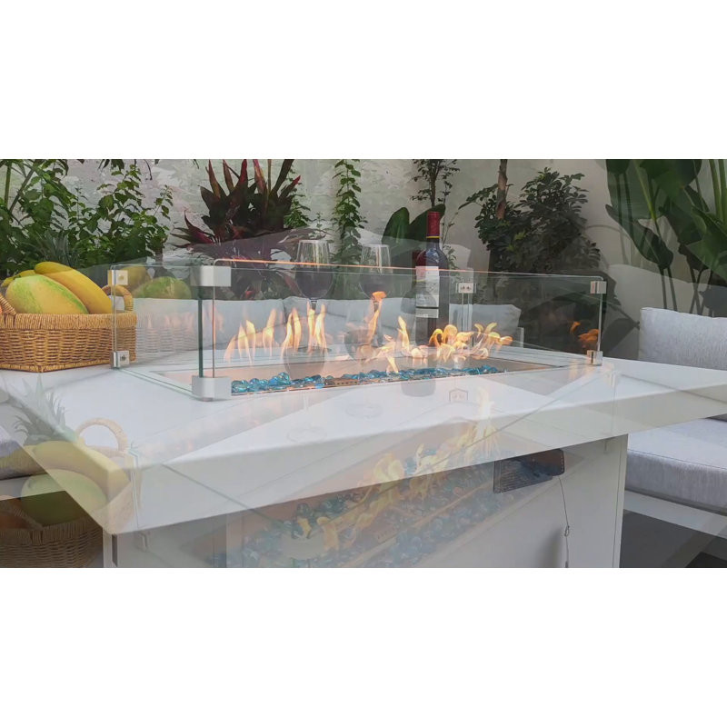 Bukovec 43'' Outdoor Patio 55,000 BTU Aluminum Rectangle Fire Pit Table Propane/Gas