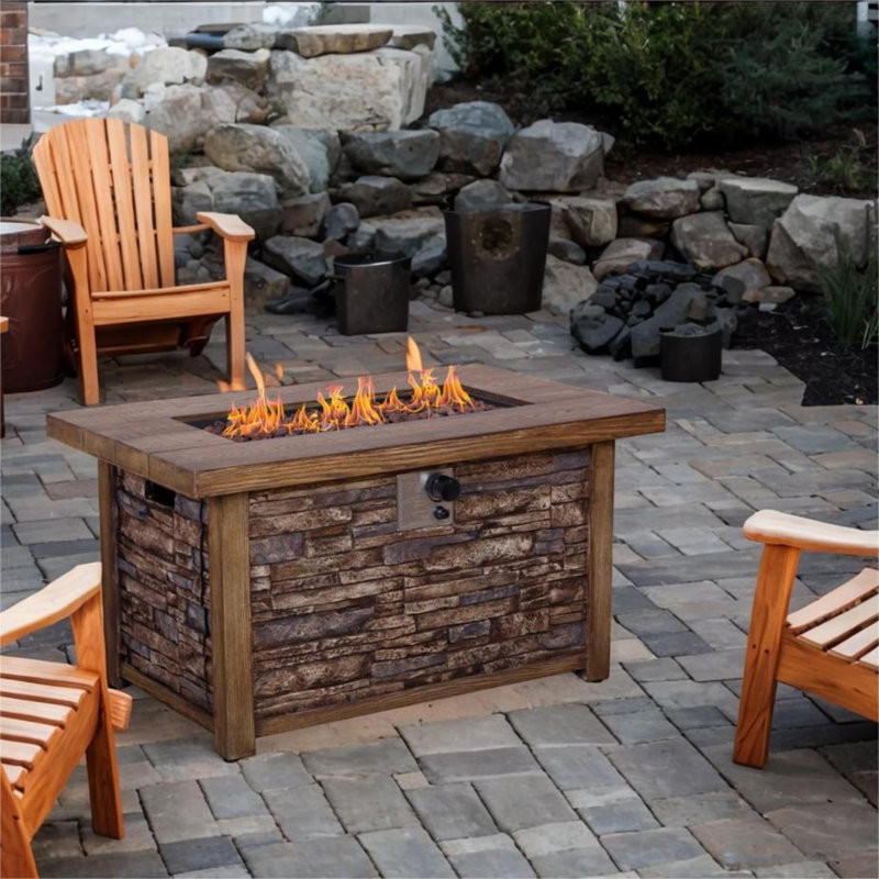 Iacopo 24'' H x 43.6'' W Propane Outdoor Fire Pit Table