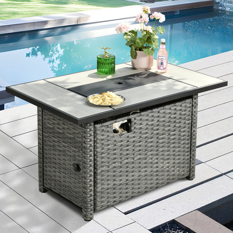 Dzion 25.19'' H x 42.12'' W Steel Propane Outdoor Fire Pit Table with Lid