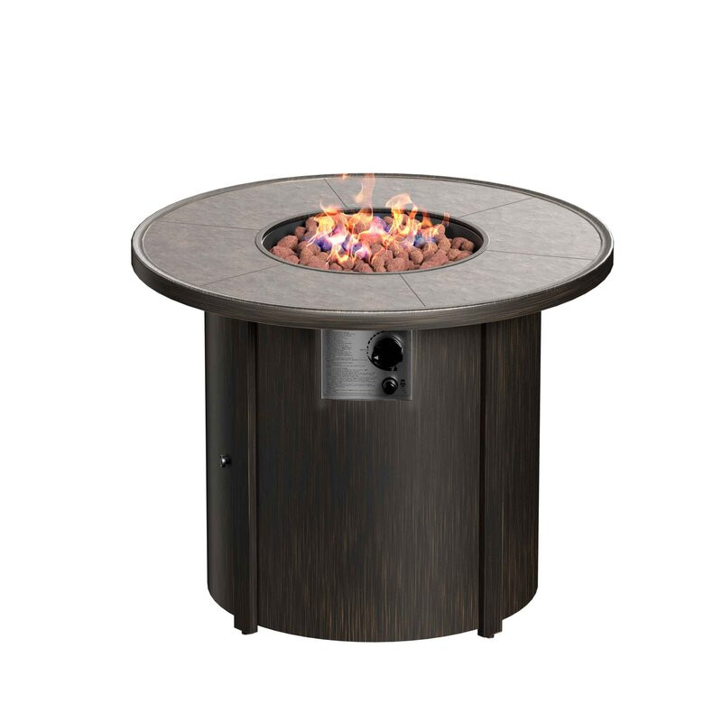 Allouette 24.63'' H x 32'' W Steel Propane Outdoor Fire Pit Table with Lid