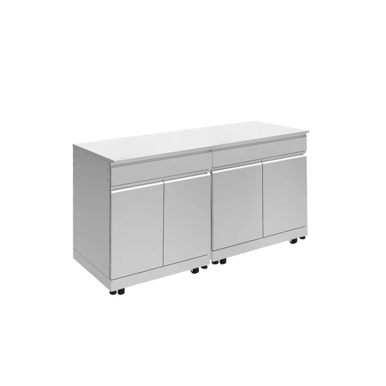 Transolid Outdoor Kitchen 64-in x 24-in x 37-in Double Base Cabinet, Stainless Steel