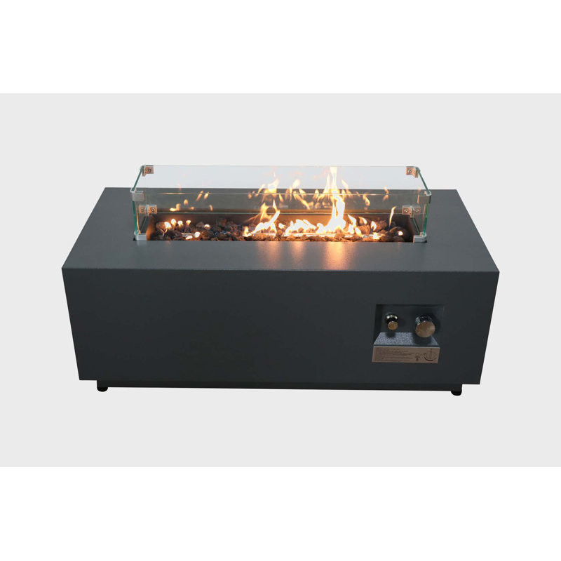 Hasmita 16" H x 42" W Steel Outdoor Fire Pit Table with Lid