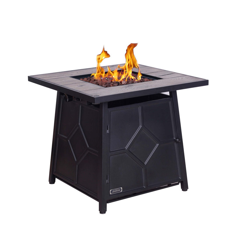 Dafny 40,000 BTU Steel Propane Gas Fire Pit Table With Steel Lid